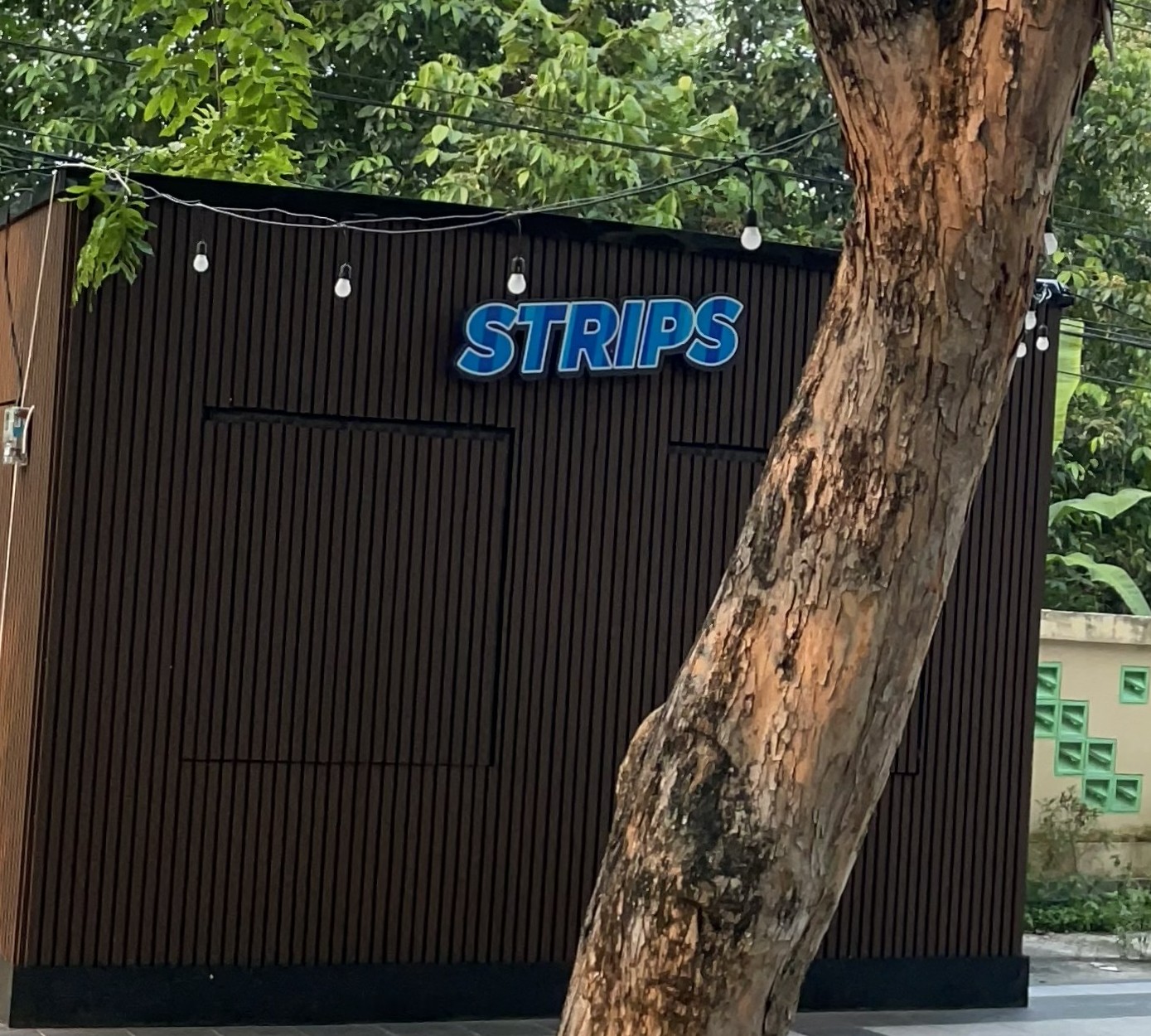 Strips